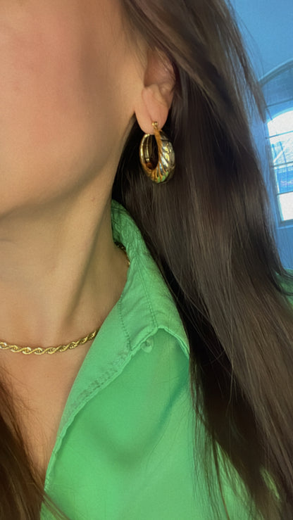 Chuncky Hoops Earrings